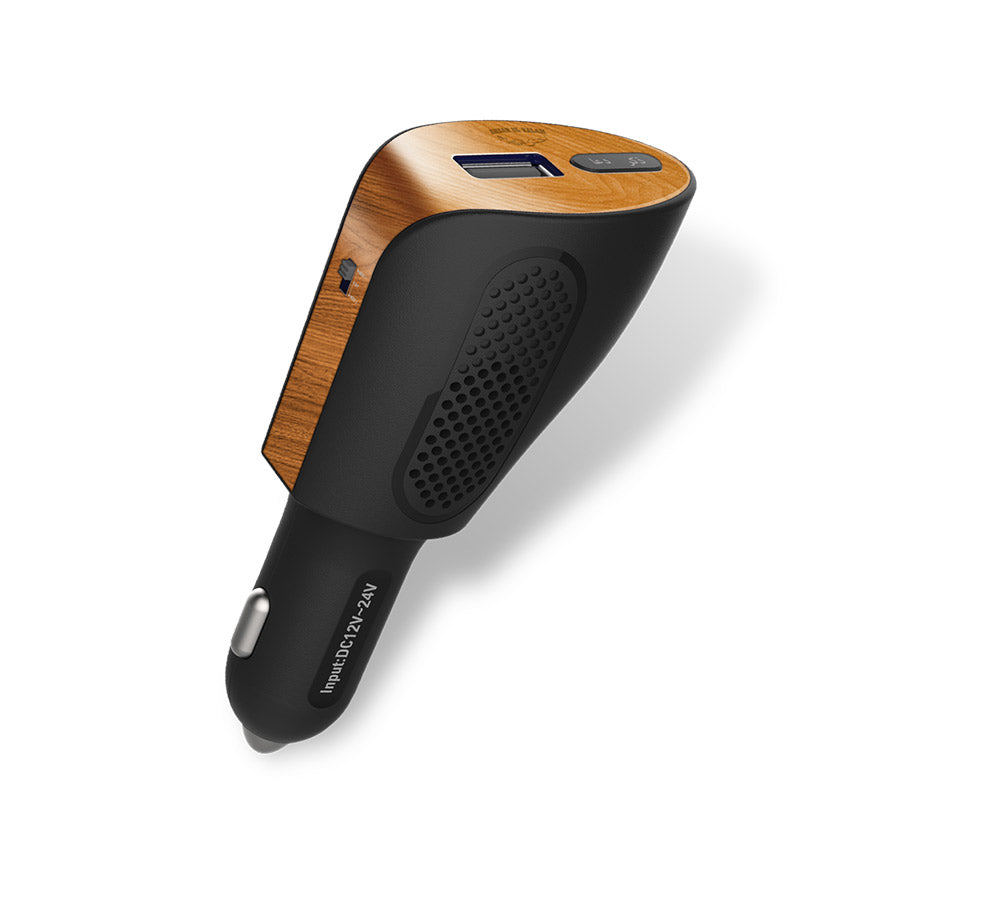 C-200 DUA REMINDER WITH MP3 PLAYER & CAR CHARGER